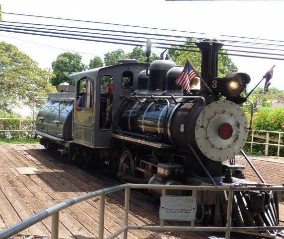 canetrain