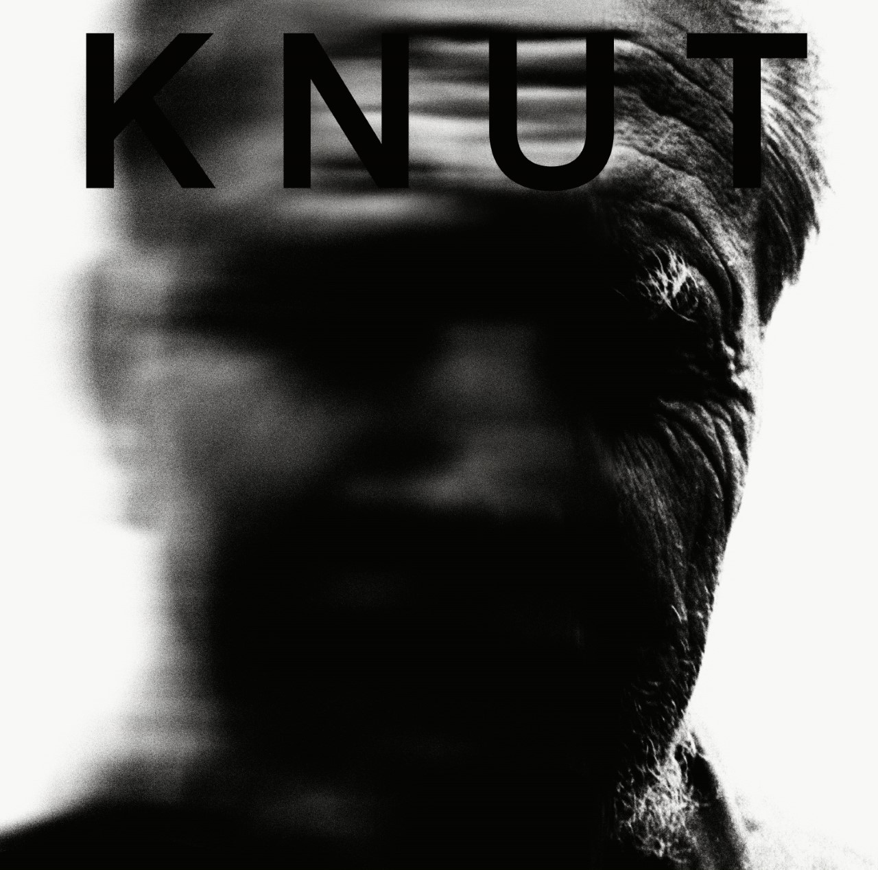 Track Premiere: Knut Cracks the Whip with 