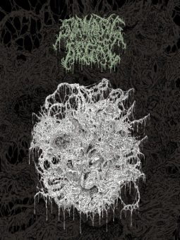 Somatic Decay album cover