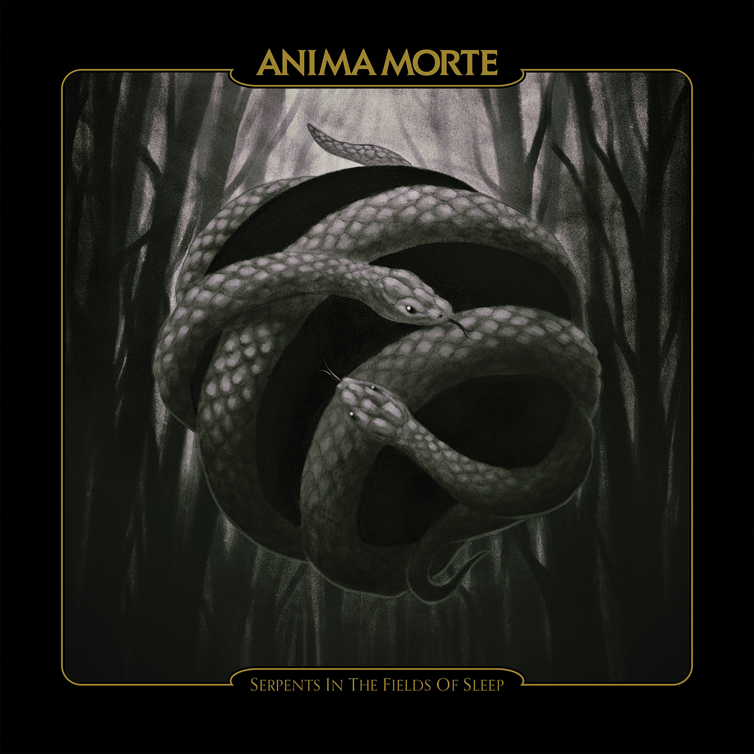 Track Premiere: Anima Morte – “Seeds of Trepidation”