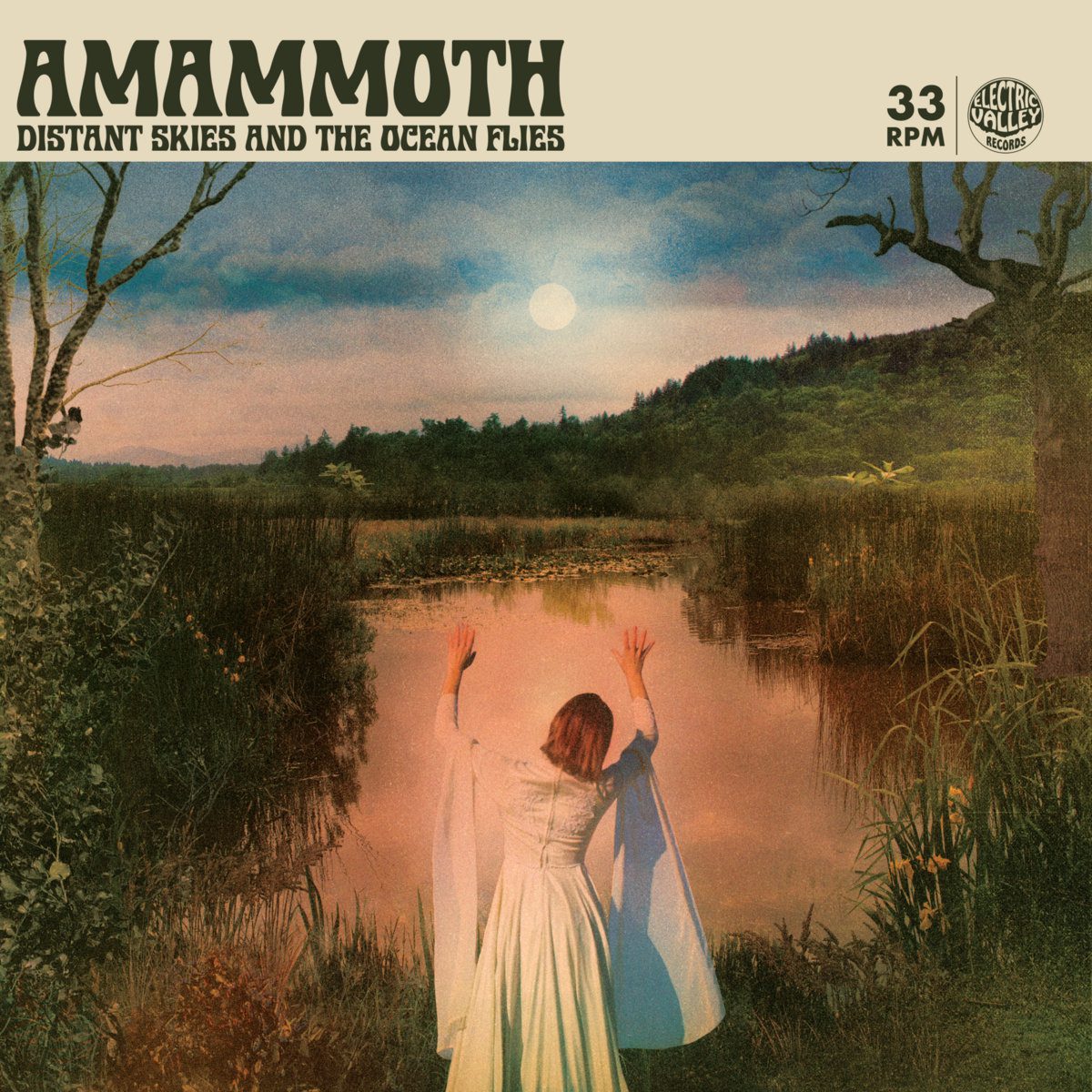 Full Album Stream: Amammoth – “Distant Skies and the Ocean Flies”