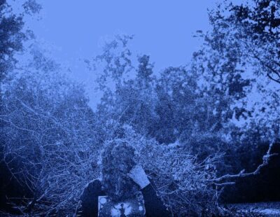 vide