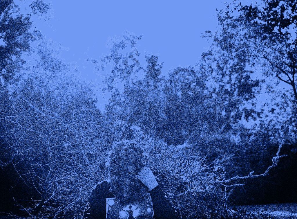Track-by-Track: vide – “Decorated in spiderweb”